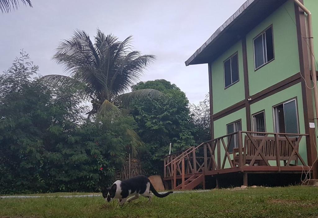 Flat Do Indio Apartment Fernando de Noronha Ngoại thất bức ảnh